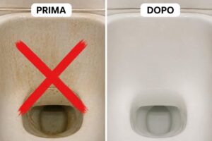 due wc, uno sporco