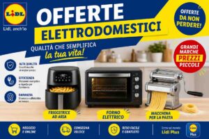 volantino LIDL